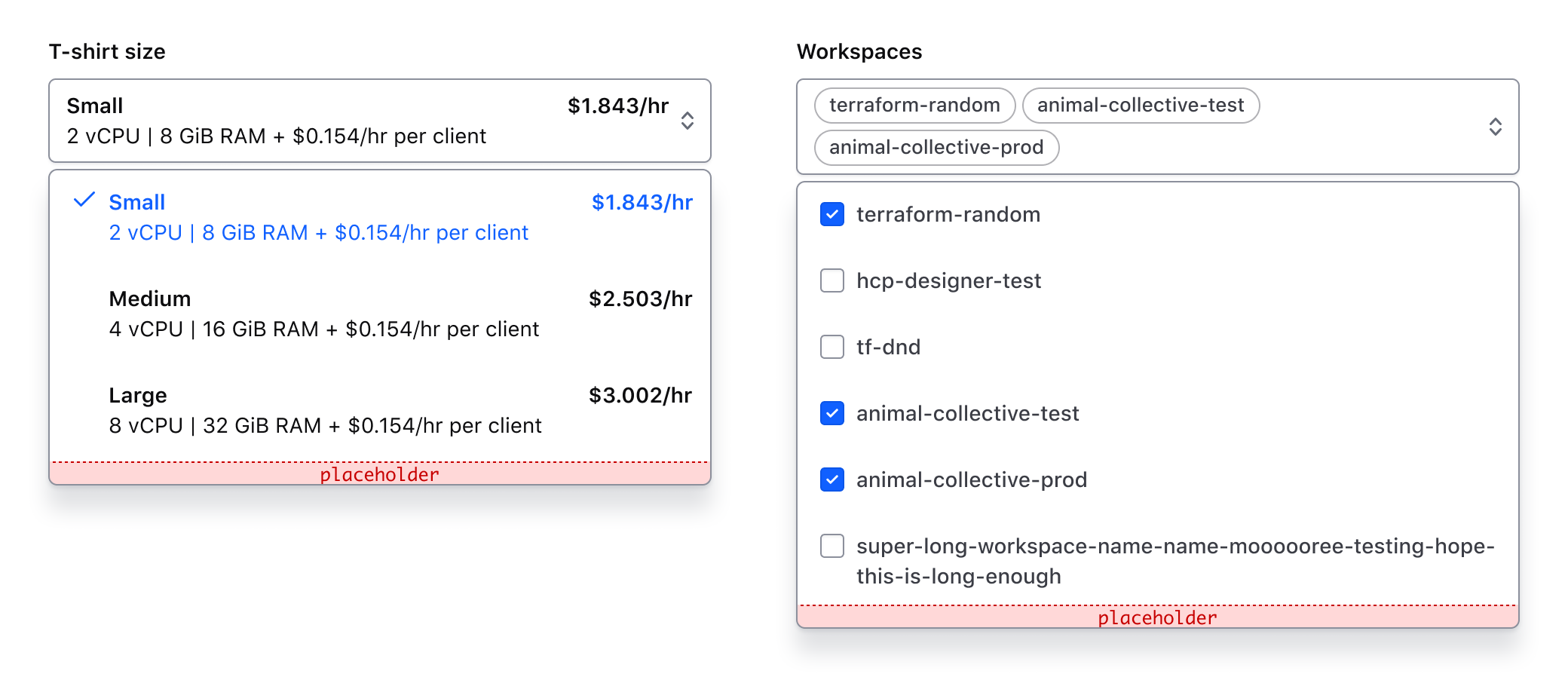 Showing the afterOptions slot with custom content